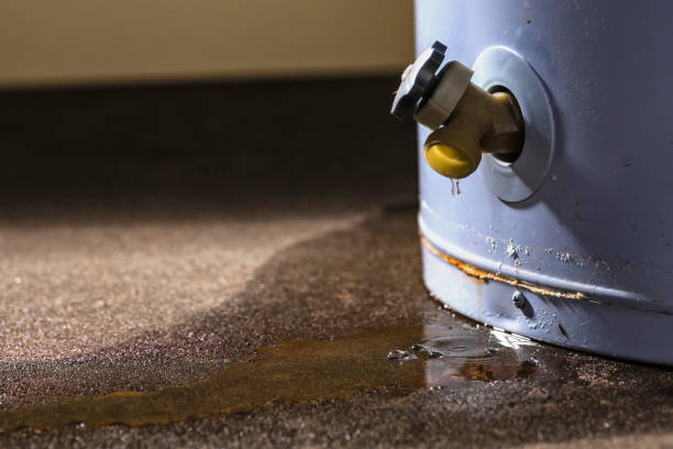 Best Sewage cleanup and water damage restoration  in Fuller Heights, FL