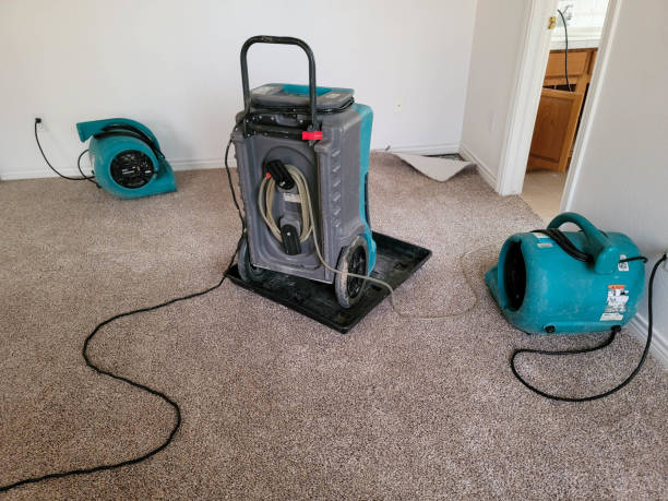 Best Flood damage cleanup  in Fuller Heights, FL