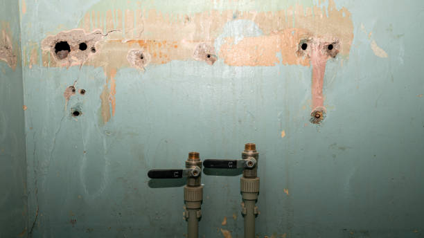 Best Water damage restoration near me  in Fuller Heights, FL