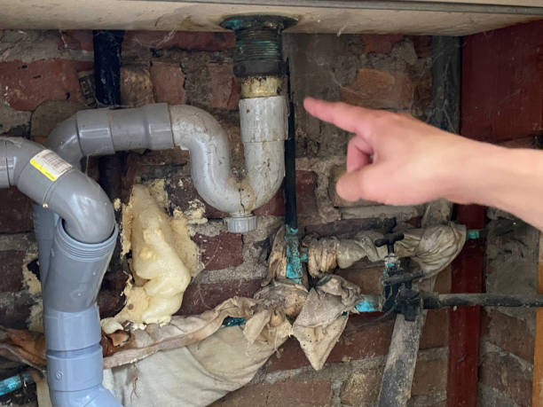 Best Commercial water damage restoration  in Fuller Heights, FL