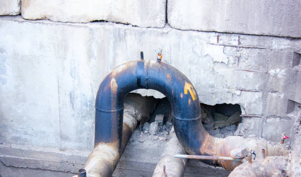 Best Ceiling water damage repair  in Fuller Heights, FL