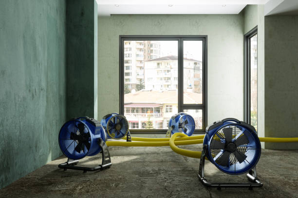 Best Commercial water damage restoration  in Fuller Heights, FL