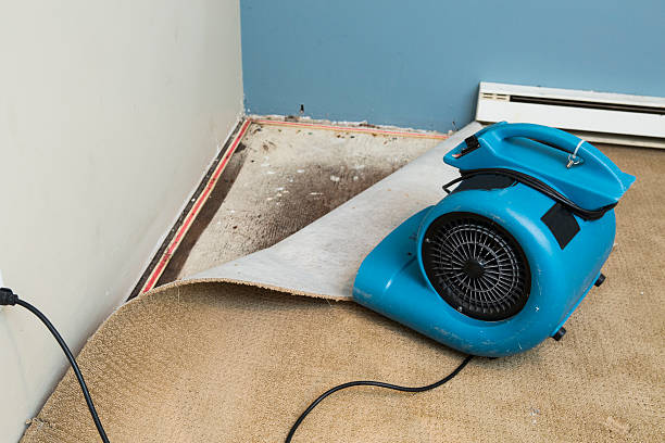 Best Professional water damage repair  in Fuller Heights, FL